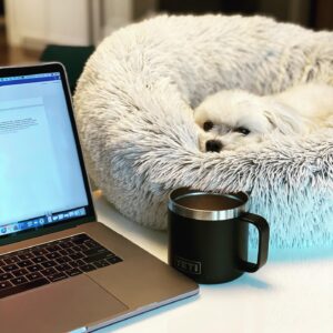 Lauren Weisberger Instagram - Rainy day writing partner.