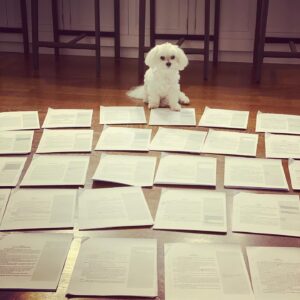 Lauren Weisberger Instagram - Stella guarding the nearly 400 pages of edited manuscript that I just submitted to my editor. When I start a new book, I write the full first draft in Scrivener: its outlining and organizing capabilities can’t be beat.  Then, when it’s time for the edits, I switch to Microsoft Word. For the first two major rounds of edits, I typically keep track changes turned on and we send it back and forth. However, by the third round, the pages are so muddled with deletions, edits, and notes that I love to print out the entire manuscript, staple each chapter separately (in this novel, there are 31 of them), and write directly on the pages in fine point Sharpie. Hitting send on this puppy tonight capped one of the best weekends in recent memory. Title announcement coming soon! 🍸 🇺🇸 😊