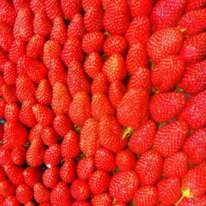 Laurent Mariotte Instagram - Il est venu le temps des fraises!Je vous en ai parlé vendredi dans @bonjourtf1 la matinale de @tf1. Vous êtes nombreux à me demander la recette de ma tarte aux fraises avec 3 ingrédients. Tiramisu, tartes, fraisier, je vous en ai mis plein sur mon site www.laurentmariotte.com. Bon lundi de Pentecôte 🍓