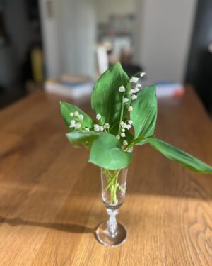 Laurent Mariotte Instagram - Bon 1er Mai tout le monde ! Fête du travail, faites la cuisine!
#1ermai #muguet
