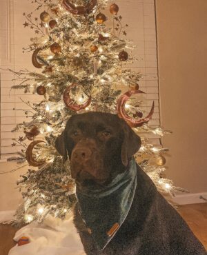 Leah Dizon Instagram - 🤎🐾🎄