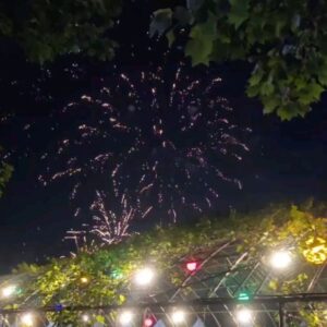 Lee Chae-dam Instagram - 구리 유채꽃 축제 다녀왔어요~^^
KCM님 넘 멋찌고, 최민호님 쇼맨십 굿이고, 바다님 보이스는 하늘을 찌르네용~💕 마지막은 불꽃놀이 🎆