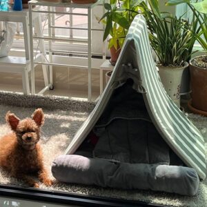 Lee Hak-ju Instagram - 모시고살기