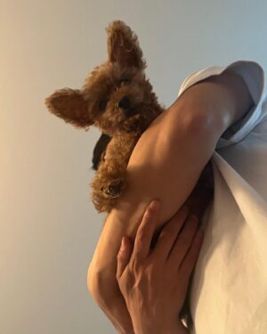 Lee Hak-ju Instagram - 갈색 나귀와 함께 보내는 
겨울입니다ㅎㅎ