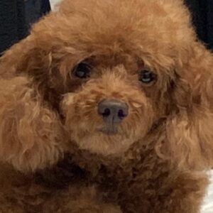 Lee Hyun-jun Instagram - 이토순