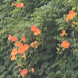 Lee Ji-won Instagram - 7