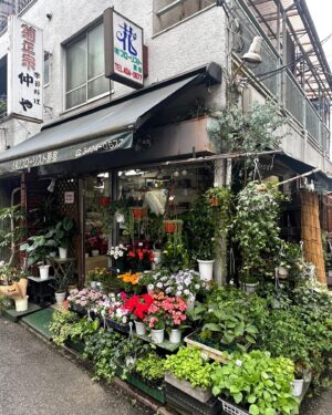 Lee Joo-hyung Instagram - 도쿄부터 부산 그리고 서울까지