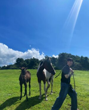 Lee Joo-hyung Instagram - 🐴🦄💙💚