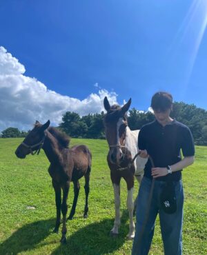 Lee Joo-hyung Instagram - 🐴🦄💙💚