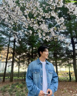 Lee Moo-saeng Instagram - 생일을 축하해주신 모든 분들께 감사드립니다 💚
감사한 마음을 담아 전하는 어느 봄날의 무생 보시고 
여러분도 행복한 하루 되세요 🌸
HAPPY MUSAENG DAY 🩷

#배우 #이무생 #leemusaeng #생일 #HBD
@aliencompany_official