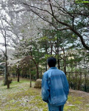 Lee Moo-saeng Instagram - 생일을 축하해주신 모든 분들께 감사드립니다 💚
감사한 마음을 담아 전하는 어느 봄날의 무생 보시고 
여러분도 행복한 하루 되세요 🌸
HAPPY MUSAENG DAY 🩷

#배우 #이무생 #leemusaeng #생일 #HBD
@aliencompany_official