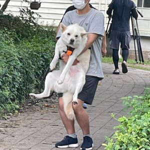 Lee Sang-jun Instagram - -왜 그러고 가니?

-이래야 집에가요

ㅋㅋㅋㅋ 진짜 집가기 시른표정