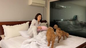 Lee Sung-mi Instagram - ㅋㅋㅋ잠자려면 강쥐들이 각자의자리로!!!이불속으로 쏘옥!!내가좋아하는 이불 보들보들 ㅋㅋ강쥐들도 아나보다 자!!!꿈나라로 다같이 !!😍