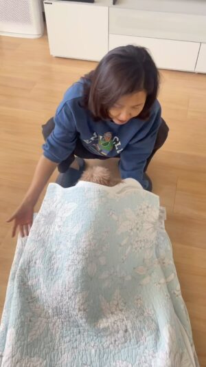 Lee Sung-mi Instagram - ㅋㅋㅋㅋ이불을 빨고 갤때마다 먼저 이불속으로 쏘옥 ㅋㅋ귀욤귀욤!!