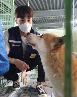 Lee Tae-hwan Instagram - 오늘도 이쁜 친구들과 함께🐕
#사지말고입양하세요 #블루엔젤봉사단