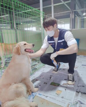 Lee Tae-hwan Instagram - 오늘도 이쁜 친구들과 함께🐕
#사지말고입양하세요 #블루엔젤봉사단