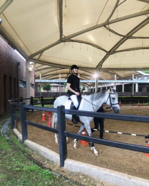Lee Tae-hwan Instagram - 이랴~~🐎🐎🐎
#박장데소