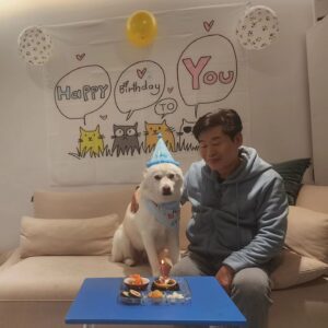 Lee Yeon-bok Instagram - 우리 생일이 가  저희집에 들어온지 4년째 맞이하는 생일 입니다  처음에 정말 많이 아프고 병도 많았는데 지금은 너무 건강 하답니다 
앞으로 건강 하게 오래 오래 행복하게 살자 ~♡
#사지말고입양하세요 
#유기견 #생일이#이연복