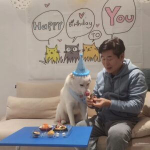 Lee Yeon-bok Instagram - 우리 생일이 가  저희집에 들어온지 4년째 맞이하는 생일 입니다  처음에 정말 많이 아프고 병도 많았는데 지금은 너무 건강 하답니다 
앞으로 건강 하게 오래 오래 행복하게 살자 ~♡
#사지말고입양하세요 
#유기견 #생일이#이연복