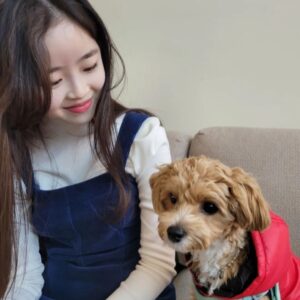 Lee Yeong-eun Instagram - ❤🐶❤