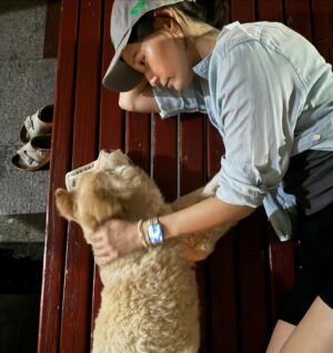 Lee Yeong-jin Instagram - 무더웠던 6월의 마지막 날.
14년간 함께 한 크림이가 무지개다리를 건넜습니다.
아직까지…실감이 나지 않고
종종 멍해지네요.
크림이를 아껴주신 모든 분들 감사합니다.