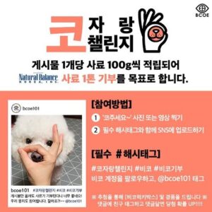 Lee Yong-jin Instagram - 반려동물과 함께하는 유기동물 기부캠페인
#코자랑챌린지#비코
게시물 1개당 사료 100g씩 적립되어 사료 1톤(1000kg)을 유기동물 보호소에 기부한다고 합니다.