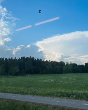 Lenita Susi Instagram - Nyt on kesä 🥰☀️
Ja ei muuta ku studion pimeyteen musaa tekemään! 😝