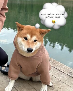 Lenka Konvičková Instagram - Matchy outfit s hafkem 🥹🐕 mikiny pro tebe i tvého miláčka najdeš na @dog.and.i.cz což je česká značka, která šije z vysoce kvalitních materiálů 🪡 Já už holkám psala ať začnou šít i tepláky, protože tak pohodlnou mikinu jsem na sobě dlouho neměla! No Nancy už takový nadšení nesdílí, ale s ní je to s oblíkáním kapitola sama o sobě 😂

Jinak s kódem LENKA15 tam máte 15% slevu na vše do konce března🫶🏼