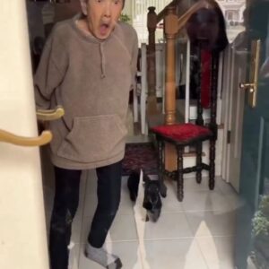 Leon Logothetis Instagram - Surprise! ❤️❤️❤️
...
SURPRISING 93-YEAR-OLD GRANDMA
 "Not only did David and I successfully surprise my grandma, but my brother and sister were able to rearrange their schedules last minute and fly to CT too🥹

We were all supposed to attend grandma’s 90th birthday party in Feb 2020, but unfortunately our Delta flights got cancelled, borders closed, and weren’t able to see her until now - 3 years later."
Repost: goodnews_movement

#kindness #thekindnessdiaries #leonlogothetis #bekind #gobekind #spreadkindness #kindnessmatters #choosekindness #channelkindness #kindnessrocks #youmatter #kindnessdiaries #randomactsofkindness #alwaysbekind #rak #kindnessisstrength #empathymatters #attitudeofgratitude