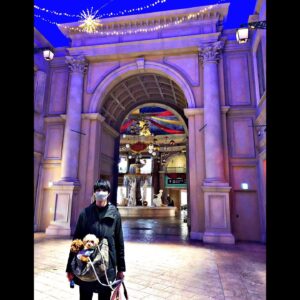 Léona Hirota Instagram - まろ眉、気に入ってるんだけど…怖い、老けて見えるなど評判がよろしくないので凄く久しぶりに眉毛描いてみた…
めっちゃ下手になってた😂どうやるんだっけ？😅ダメだこりゃ笑笑

ヴィーナスフォートが3月になくなってしまうんですって…
カードもあるんでドッグランに行ってきましたよ🐶試乗のついでだったけど😅
2階の噴水、懐かしかった…息子が小さい時以来かな…噴水ってなんか好き…癒し…系？✨
お台場、遠いからなぁ…
お台場の観覧車も夏頃に撤去するみたいだから閉所高所恐怖症だけど思い出作りのためにチャレンジしてみようかな✨
なんだってチャレンジ精神大事よねぇ…いつかね、いつかね、で、すぐお婆ちゃんになっちゃったからねぇ〜😂足腰丈夫なうちになんでもトライよ〜

#肺はまだまだ息するのしんどいし喘息だし股関節痛で足引き摺ってるけど脳みそは超元気 #病は気からパワーよパワー❗️
#初めてオーダーじゃない映画撮影中 #こんな身体なんで夏すぎまでかかる予定😅頑張るじょ🥰