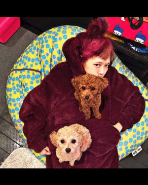 Léona Hirota Instagram - ここ数日、左股関節の炎症のため、体重をかけないで！に従い、リビングに布団敷いてほぼ寝たきり…か、ヨギボーの上😅
でもいつもプー達が私の上に乗って寝ているので可愛すぎて癒されてます😂💕ワンコ偉大
動かなければ治るを信じて…
手術前に断捨離してしまったので水着がない…長袖で腰回りがポンッてなってる水着ないかな…あるわけないか…😭
唯一、水泳だけ許されている運動なんで😅
明日は久しぶりに歩くのだ
表参道だし…綺麗に歩きたいのだ😂　
@hirota_toypoo 

#肺腺癌手術して左上部全部取ってリンパ9個取ったよね😅　#左股関節炎症で脚ひきずってる😂
#でも社長業やってるし、映画も撮影中…ちょっとずつだけど😅
#健康が1番尊いわよ
#今日も映画界隈ではレオナは絶対死なないなと言われている事を知る…なんだか勇気づけられているのか馬鹿にされているのか…😂
#ストレスフリーでちゃんと仕事がモットーです！