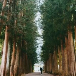 Léona Hirota Instagram - お久しぶりです😂
益々、病気の総合商社に拍車がかかるので多少腐っていたためsns発信から遠ざかっておりましたん😅ストーリーは挙げてますよ👴🏻
2年前にコロナに罹ってから咳が止まらず毎夜咳喘息の発作はあったのですがそのうち治るでしょ放置していたのがいけなかった…
呼吸器内科で診てもらったら喘息の数値が振り切れてる重症になっていましたん😳ふだん、ヒューヒュー言ってないから油断してました🥺直前のインフルエンザで手術を中止して結果よかったのです…重度の喘息で全身麻酔の手術をしたら最悪還って来れないらしい😂毎度盛ってるような話ばかりで面目ない…
しかし脳味噌は至って元気💪🏻
身体がボロボロなのかもしれないけど無理出来るんです
まだまだ治ると信じています
ヒロムくんは最後まで面倒みるから頼むからちゃんと成仏して俺の枕元に立たないでねと憎たらしい事を言っては私に殴られています笑笑笑笑
体重が増えたら益々股関節に負担がかかってしまってダメなんですが5Kg増…過度なダイエットするとすぐ風邪ひいてしまう…運動は寝ながらストレッチとエアロバイクと水泳以外ドクターストップなんで中々痩せられない😭何かいい方法がないか模索しています…
なんて言いながらスイーツやめられないダメなあたい😂

#眉毛がどうしても上手く描けないんでアートメイクを考える😅
#最後の動画は続きがあるんですが自粛😂
#那須にいる間で運転少ししてるんですが未だに脳内で布袋さんのスリルが永遠にリフレインしてる😅
#なんだかんだ言ってますが働いてもいますしフェムケア用品の開発もしています🥰
#amebloも放置しちゃってるけどあちらは回顧録始めようかなと
#60代ダイエット
#やらないといけないこと山積み
