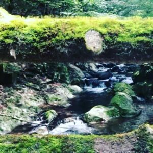 Léona Hirota Instagram - ワクチン打てないから温泉療養がてら田舎にこもって5日目…
ワクチン打てないのは肺癌の手術後だからではなく
肺気胸だからではなく
重大な副反応を起こす可能性が極めて高い体質である事をドクターが判断したからです
ICUのある病院が私のような人でも受け入れてくれたら打てるかもしれません

これで少しでも良くなったら有難い😂
結局ロケハンしちゃうんだけどね😅
仕事はリモートと電話…
早く現場復帰出来るように頑張るね💪
続きは明日にする😂