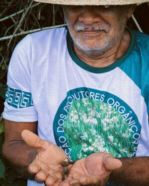 Leonardo Bittencourt Instagram - Fui descobrir o Pará pra além do tacacá. 

Como pode existir tanta cultura dentro de um só lugar? É como se cada paraense fosse um guia, orgulhoso de sua história, de seu costume, do seu olhar para o mundo. 

Através desse olhar vi uma terra que com certeza quero voltar. Agradeço de coração aqui a @naturabroficial pelo convite e por tornar tudo isso possível. É inspirador ver que uma empresa pode ser gigantesca no mercado e ainda assim ser tão envolvida na proteção e divulgação da nossa Amazônia, com práticas sustentáveis. 

Ajudando e capacitando o pequeno produtor, investindo em pesquisas e valorizando as milhares de possibilidades de nossa floresta. Pintando o Brasil e o mundo com a paleta de aromas de nossa Terra. 

Volto pra casa tocado por tudo que vivi. 
Até logo, Belém. 💚