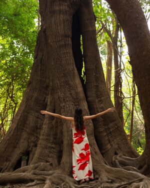 Letícia Frota Instagram - No Dia do Meio Ambiente, quero compartilhar com vocês a importância de cuidarmos do nosso planeta. Como uma mulher nascida e criada na Amazônia, tenho muito orgulho das minhas raízes e do ambiente natural que me rodeia. A Amazônia é um tesouro de biodiversidade, mas está enfrentando ameaças como desmatamento e poluição. Vamos nos unir para proteger a natureza, reduzir nosso consumo, reciclar e promover práticas sustentáveis. Juntos, podemos preservar a Amazônia e garantir um futuro melhor para todos. Cuidar do meio ambiente é cuidar de nós mesmos. 🌍💚

On Environment Day, I want to share with you the importance of taking care of our planet. As a woman born and raised in the Amazon, I am very proud of my roots and the natural environment that surrounds me. The Amazon is a treasure trove of biodiversity, but is threatened by deforestation and pollution. Let’s come together to protect nature, reduce our consumption, recycle and promote sustainable practices. Together, we can preserve the Amazon and guarantee a better future for everyone. Taking care of the environment is taking care of ourselves. 🌍💚

📸 @hamontsuji
