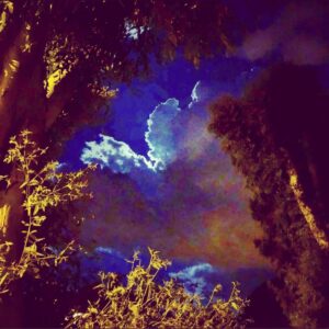 Levent Üzümcü Instagram - Ay mıydı o, yalnızlığım mıydı yoksa.
