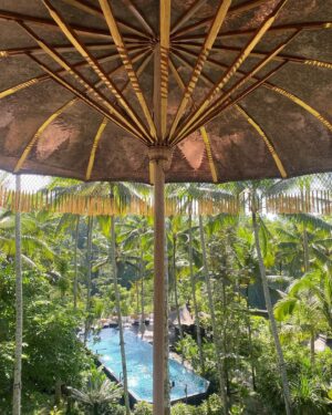 Lewis Tan Instagram - Tri Hita Karana #bali