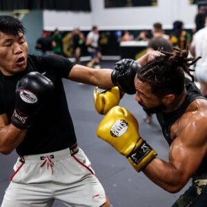 Li Jingliang Instagram - Stay focused, stay ready #ufc #lijingliang #theleech Photo credit: @ryanloco