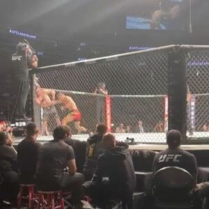 Li Jingliang Instagram - ||| @lijingliangmma the LEECH gets the finish! ||| @ufc #UFClongisland 
.
.
.
#mma #fight #train #ufc #win #tko