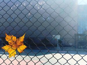 Li Landy Instagram - 一张照片的背后。
-
-
-
-
-
-
-
-
#beijing#thecentralacademyofdrama #autumn #autumnleaves #mapleleafs#schoollife