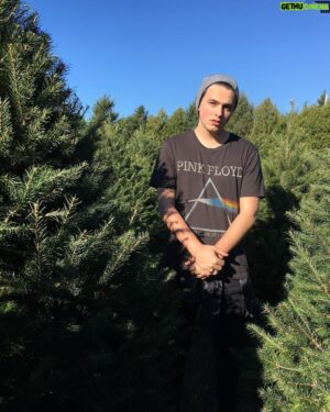 Liam Attridge Instagram - I’m lost in a forest of Christmas Trees!