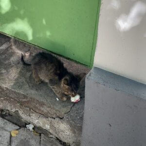 Libe Barer Instagram - ~ things my phone has seen in bulgaria ~
