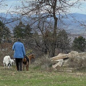 Libe Barer Instagram - ~ things my phone has seen in bulgaria ~