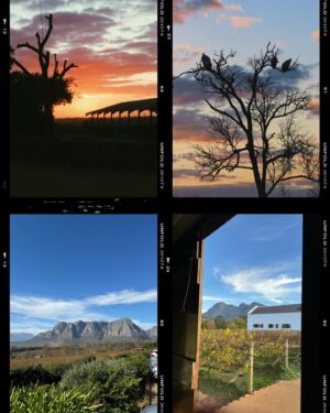 Liisi LaFontaine Instagram - This country doesn’t owe me a damn thing!!! 
South Africa is the most magical place I’ve ever been.  There are no words or pictures to do it justice. 
Thank you, @soprantygirl for planning the mother daughter of absolute dreams. No one does it like you, girl!!! How special to get this time together as adults. I hope, one day, I can give my kids a fraction of the life you have given us ✨