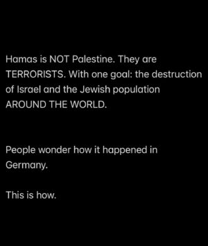 Lili Mirojnick Instagram - I’ve been struggling to put my feelings into my own words these last few days. But please note—I’m not trying to shame anyone into vocalizing. But I think it’s important to reflect on the “why”. 
#neveragainisnow