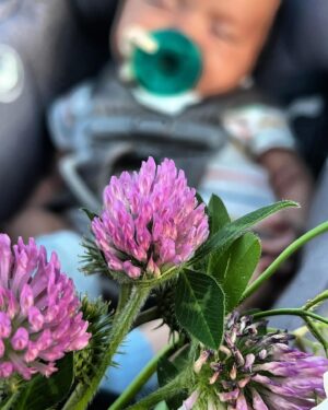 Lilli Cooper Instagram - May was a good month 👶🏽🍼🚢🌸