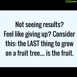 Lillo Brancato Instagram - 🍏🍎🍐🍊🍌🍉🍇🍓🫐🍒🍑🍍🥝🥥 #thankful #grateful #blessed #freedom #secondchances #Godisgreat #patience