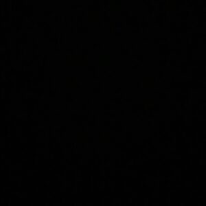 Lilly Dreesen Instagram - I understand that I will never understand. However I stand. #blackouttuesday