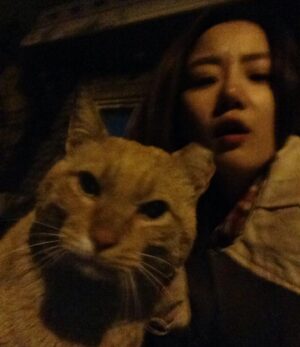 Lim Se-joo Instagram - 옛날 사진들 보는데… 열심히 살았다…