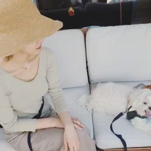 Lim Se-joo Instagram - 인스타 감성 ..(?)   코코와 노을